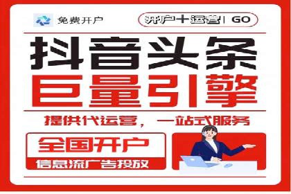 网络推广竞价策略案例分析